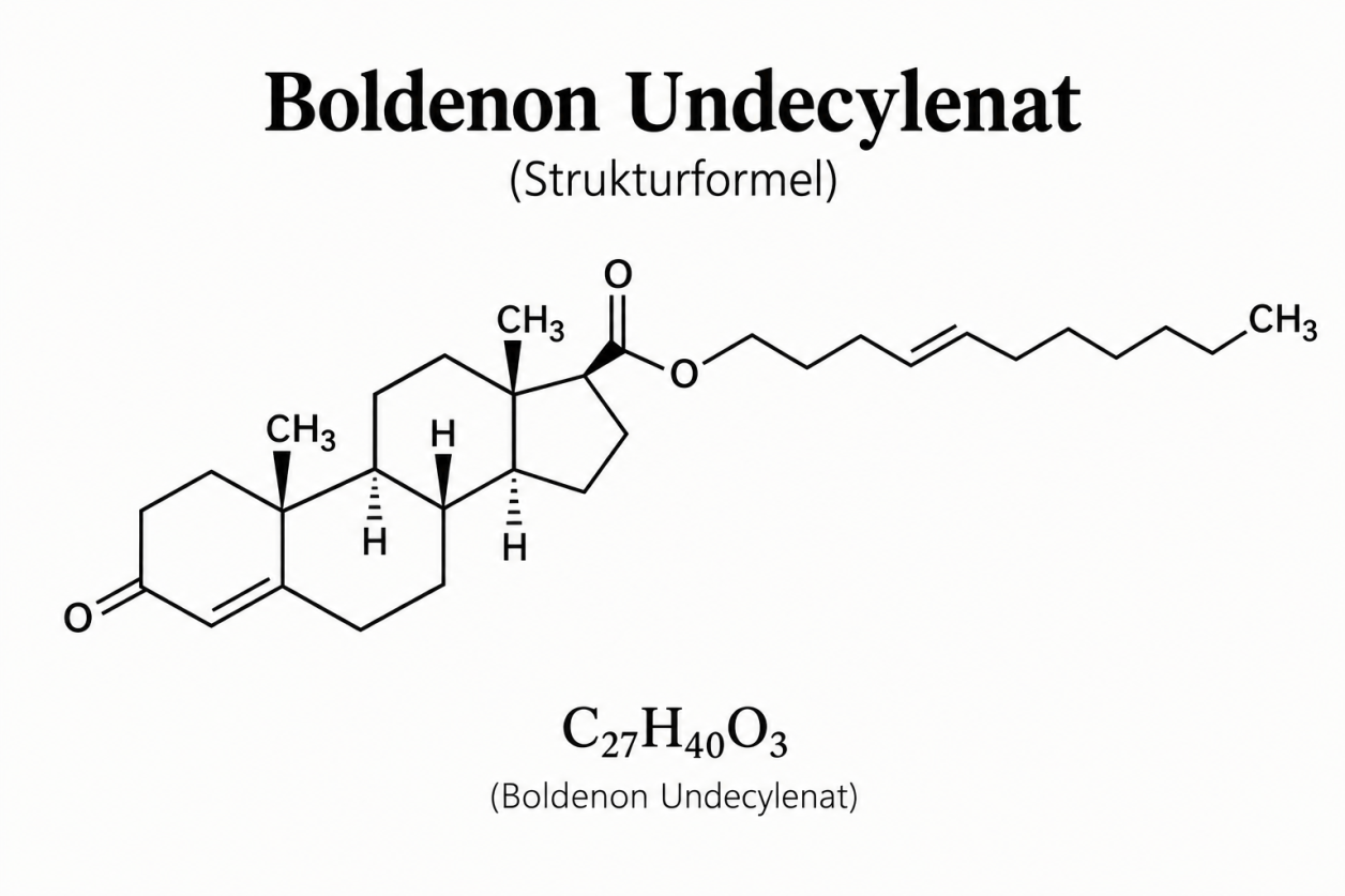 Strukturformel von Boldenon – chemischer Aufbau eines anabolen-androgenen Steroids