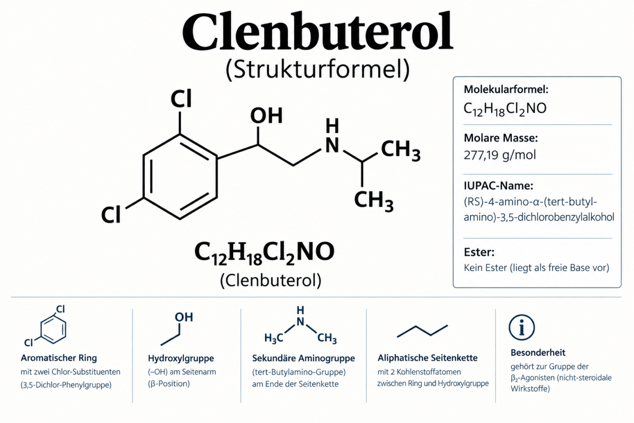 Strukturformel von Clenbuterol – chemischer Aufbau eines Beta-2-Agonisten