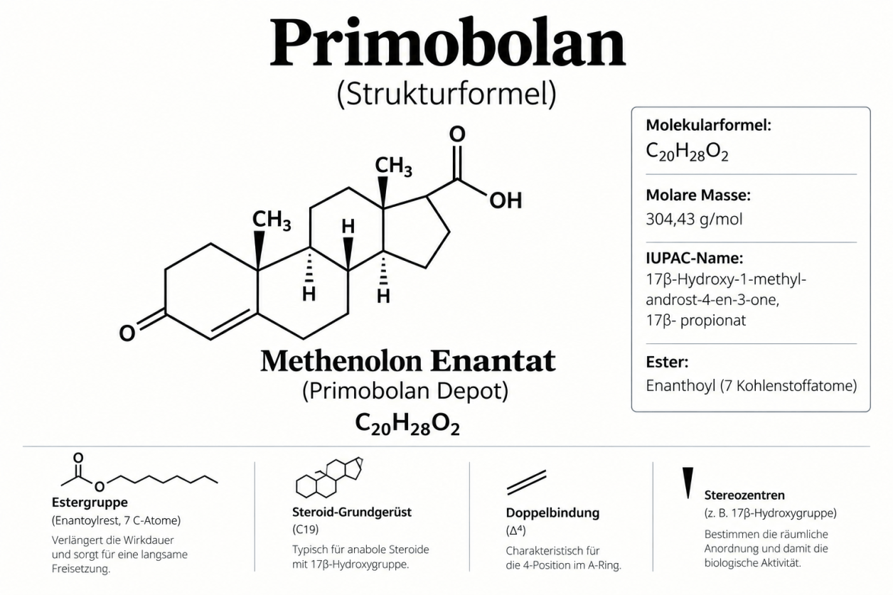 Primobolan Methenolon – Informationen zu Wirkung und Risiken im Bodybuilding