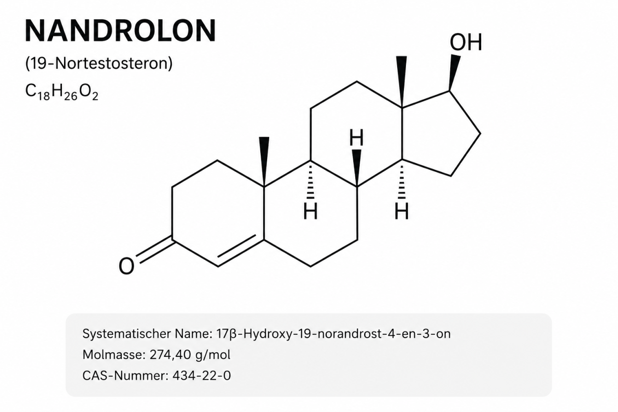 Strukturformel von Nandrolon (19-Nortestosteron) – Molekularer Aufbau des anabolen Steroids für Drachensang Academy Österreich
