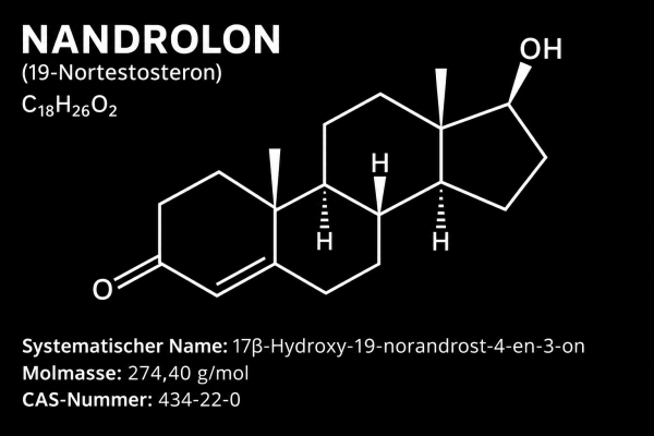 Strukturformel von Nandrolon auf der Startseite der Drachensang Academy Österreich – Wissenschaftliche Analyse des Wirkstoffs